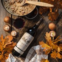 Château de Seguin rött vin