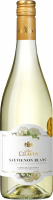 Pierre Chavin Sauvignon Blanc Côtes de Gascogne