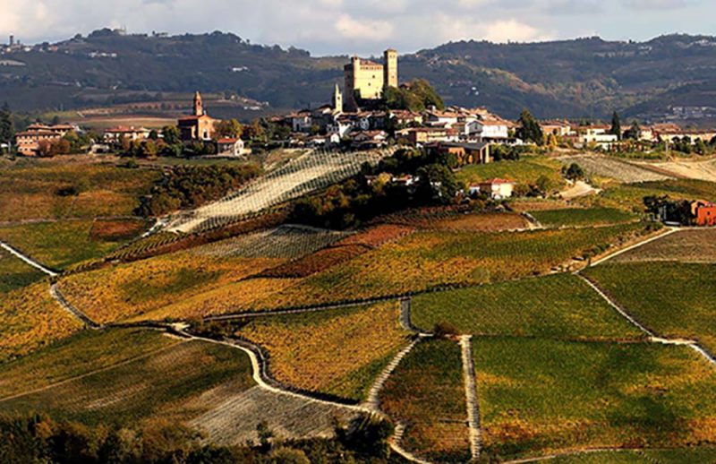 Cantina Terre del Barolo