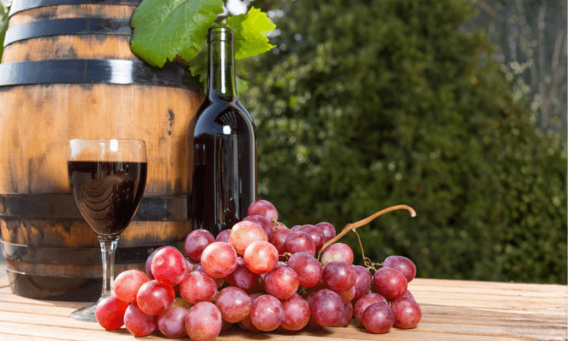 tanniner i vin (1)
